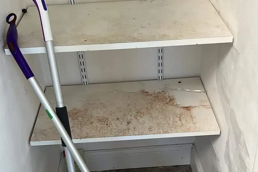 Deep Cleaning Deep Cleaning